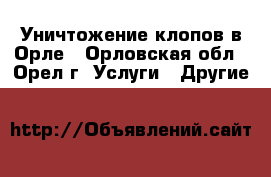 Уничтожение клопов в Орле - Орловская обл., Орел г. Услуги » Другие   